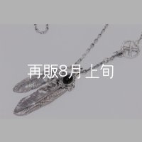 Wフェザーネックレス (L1/LL2オニキス)  クローフック/アローメディスン 『チェーン50cm』 