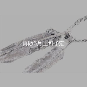 画像8: Wフェザーネックレス (L1/LL2オニキス)  クローフック/アローメディスン 『チェーン50cm』 