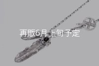 Wフェザーネックレス (MM2/L2オニキス)  クローフック/アローメディスン 『チェーン50cm』 