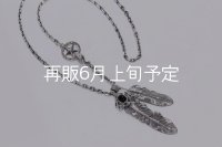 Wフェザーネックレス (L1オニキス/M1)  クローフック/スターメディスン 『チェーン50cm』 