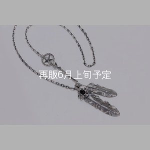 画像1: Wフェザーネックレス (L1オニキス/M1)  クローフック/スターメディスン 『チェーン50cm』 