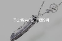 千年フェザー(L2オニキス)  クローフック/スターメディスン 『チェーン50cm』 