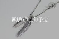  Wフェザーネックレス (M1/L2オニキス)   クローフック/スターメディスン 『チェーン50cm』 