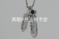 【Wフェザーにカスタム】 