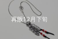 Wフェザーネックレス (L1SUNコンチョ/M2) 『スターフックチェーン50cm』 