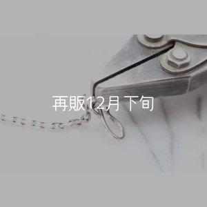 画像5: スターフックチェーン 