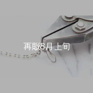 画像5: スターフックチェーン 
