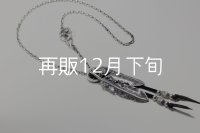 Wフェザーネックレス (LL1/L2SUNコンチョ) 『スターフックチェーン50cm』 