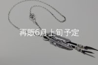Wフェザーネックレス (LL1/L2SUNコンチョ) 『スターフックチェーン50cm』 
