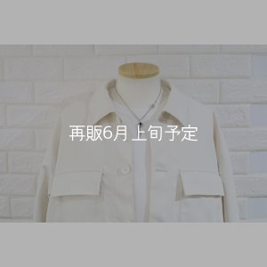 画像5: 千年フェザー(M2オニキス) スターフックペンダント 『チェーン45cm』 