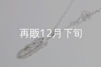 千年フェザー(M2) スターフックペンダント 『チェーン45cm』 