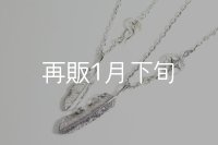 スターフックペアペンダント 『チェーン45・50cm』 