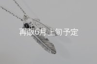 Wフェザーネックレス (L1オニキス/M2) 『チェーン50cm』 