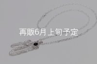 Wフェザーネックレス (M2/L2オニキス) 『チェーン50cm』 