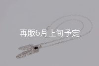 Wフェザーネックレス (MM2/M2オニキス) 『チェーン45cm』 