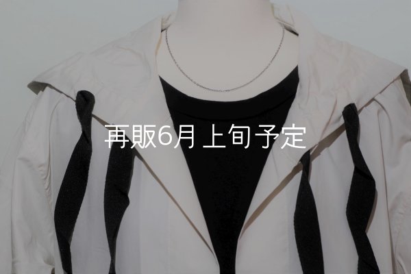 画像1: 40cm (CL60/4C)  (1)