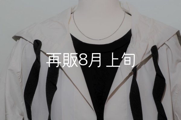 画像1: 40cm (CL60/4C)  (1)