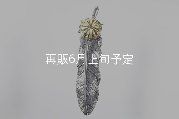 画像1: 千年フェザー(L1)  K18YG-SUNコンチョ  (1)