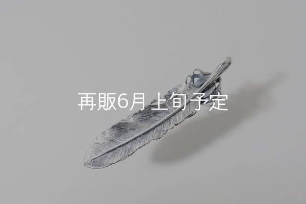 画像4: 千年フェザー(L1)  マグネサイト  (4)