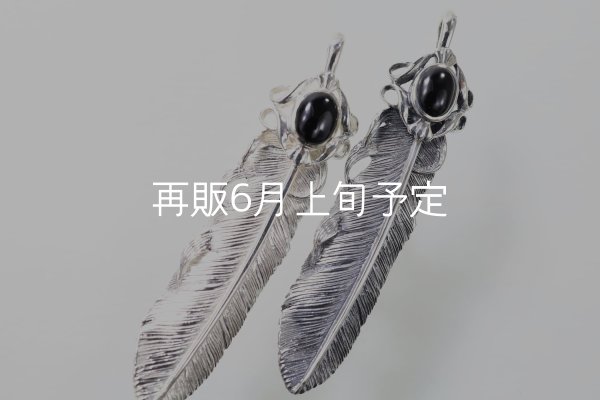 画像5: 千年フェザー(L2)  オニキス  (5)