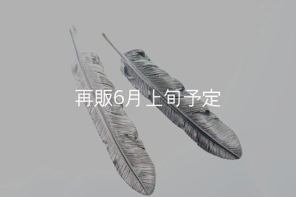 画像1: 千年フェザー(XL1)  (1)