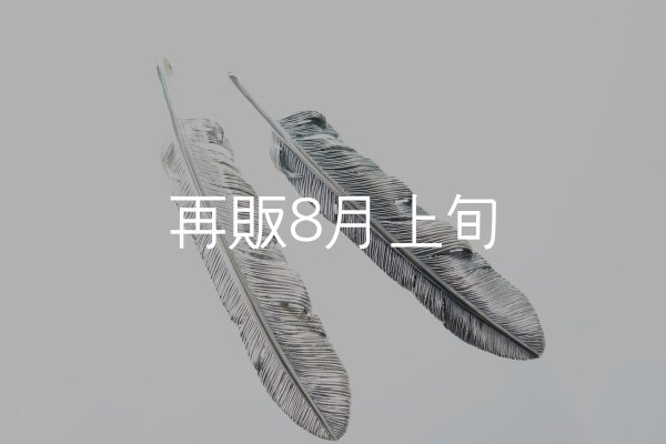 画像1: 千年フェザー(XL1)  (1)