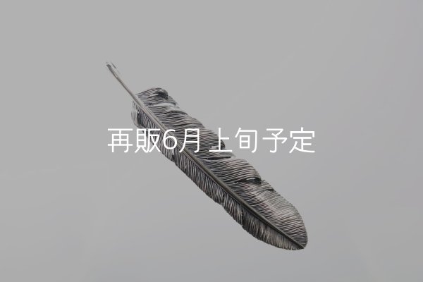 画像2: 千年フェザー(XL1)  (2)