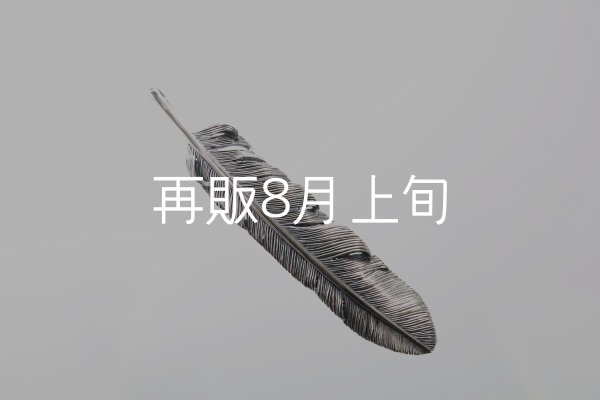画像2: 千年フェザー(XL1)  (2)