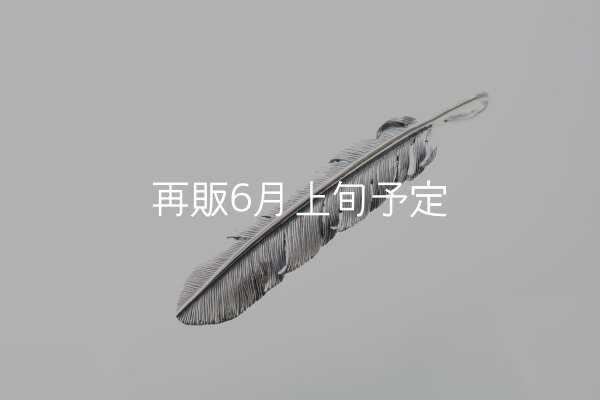 画像3: 千年フェザー(XL1)  (3)