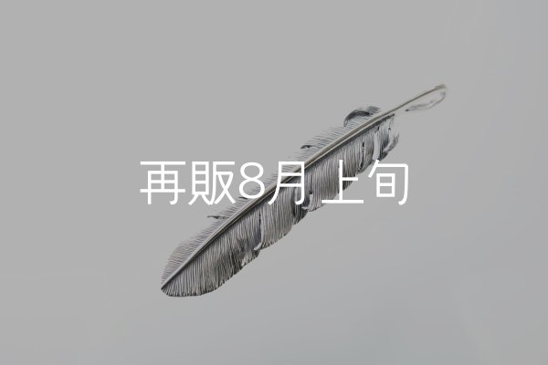 画像3: 千年フェザー(XL1)  (3)