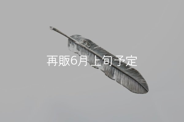 画像4: 千年フェザー(XL1)  (4)