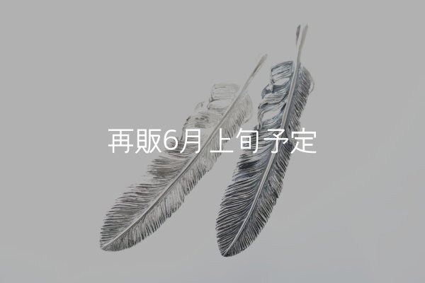 画像1: 千年フェザー(XL2)  (1)