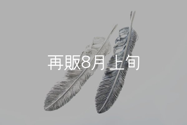 画像1: 千年フェザー(XL2)  (1)