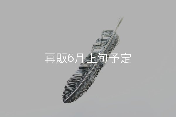 画像2: 千年フェザー(XL2)  (2)
