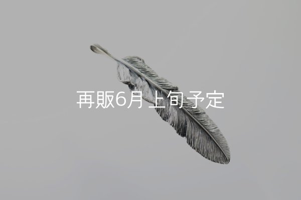 画像3: 千年フェザー(XL2)  (3)
