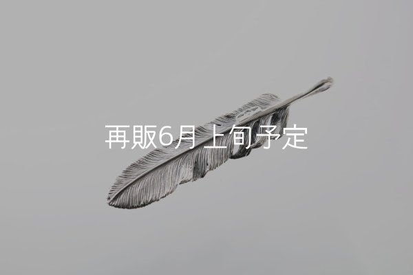 画像4: 千年フェザー(XL2)  (4)