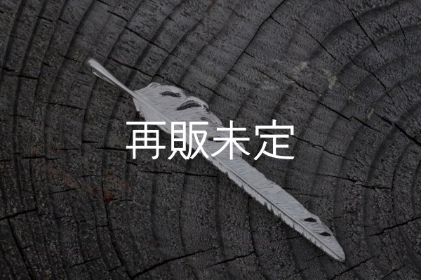 画像2: 風切羽(L)  (2)
