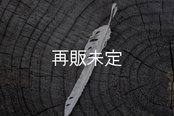 画像5: 風切羽(L)  (5)