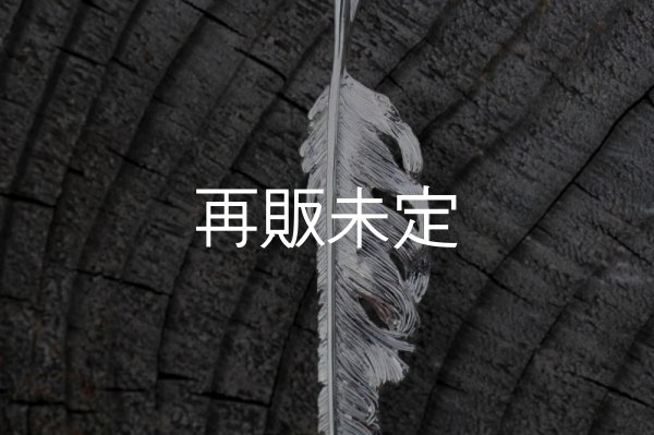画像3: 風切羽(L)  (3)