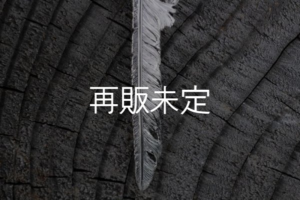 画像4: 風切羽(L)  (4)