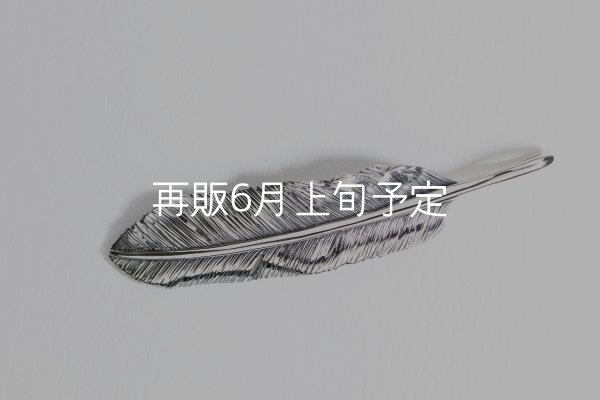 画像4: 千年フェザー(LL2)  (4)