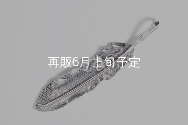 画像4: 千年フェザー(LL1)  (4)