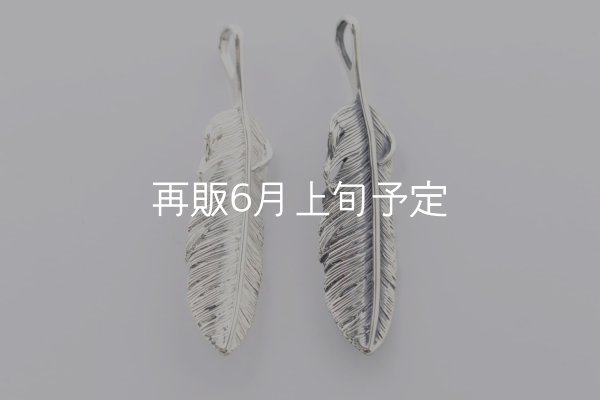 画像3: 千年フェザー(M2)  (3)