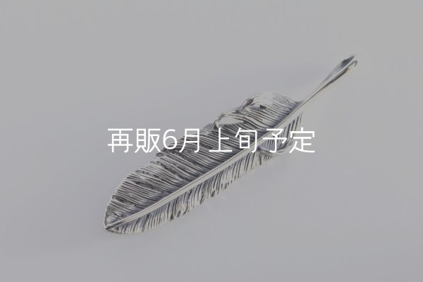 画像2: 千年フェザー(M2)  (2)