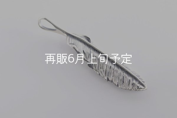 画像4: 千年フェザー(M2)  (4)