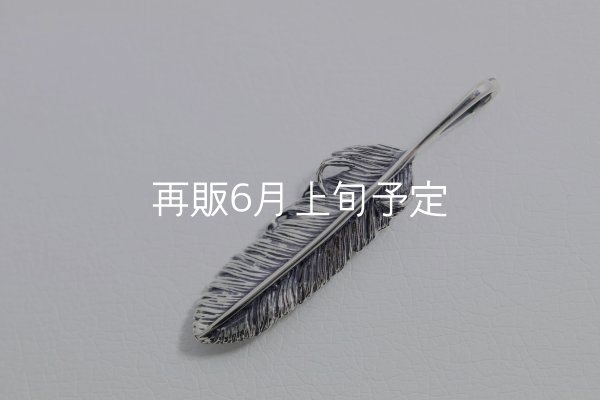 画像2: 千年フェザー(MM2)  (2)