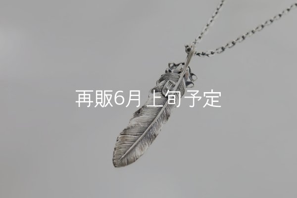 画像4: 千年フェザー(L1オニキス) ペンダント 『チェーン50cm』  (4)