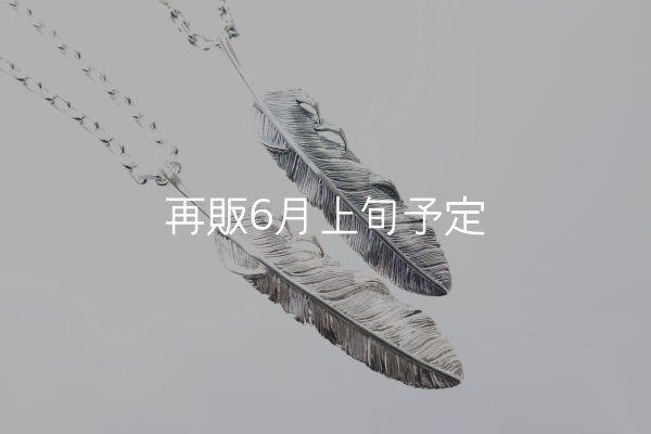 画像4: 千年フェザー(L1)ペンダント 『チェーン50cm』  (4)