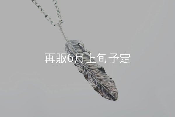 画像1: 千年フェザー(L1)ペンダント 『チェーン50cm』  (1)