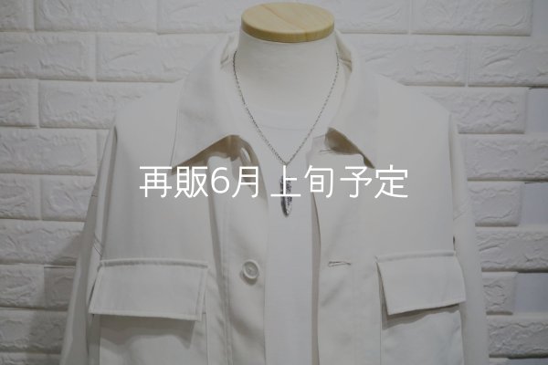 画像6: 千年フェザー(L1)ペンダント 『チェーン50cm』  (6)